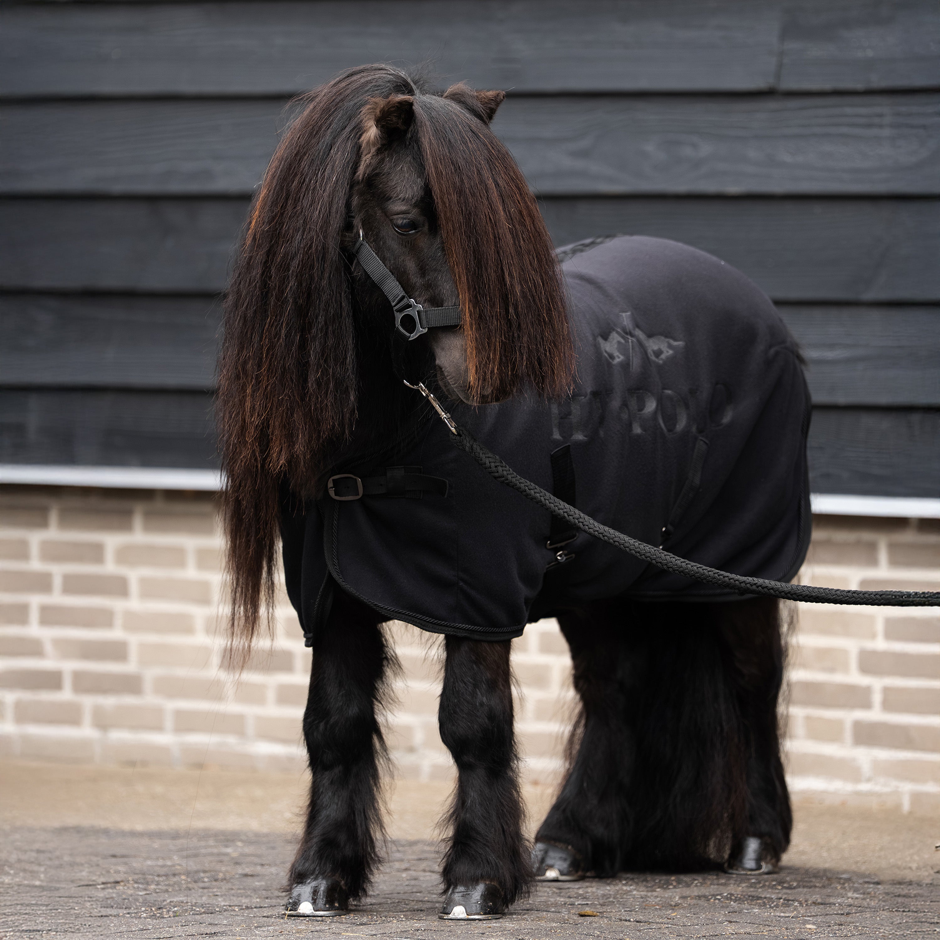 Fleeceloimi poneille HVP Sasha