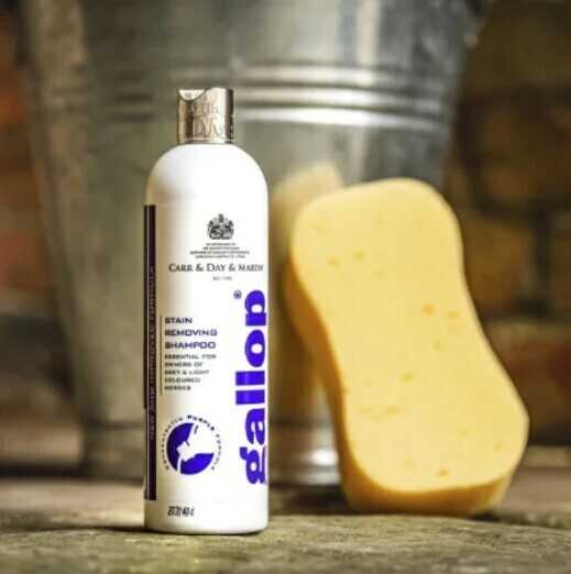 CARR & DAY & MARTIN Detangling Shampoo Gallop®