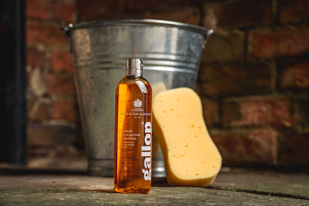 CARR & DAY & MARTIN Shampoo Gallop® Hazelnut and Palomino Horses