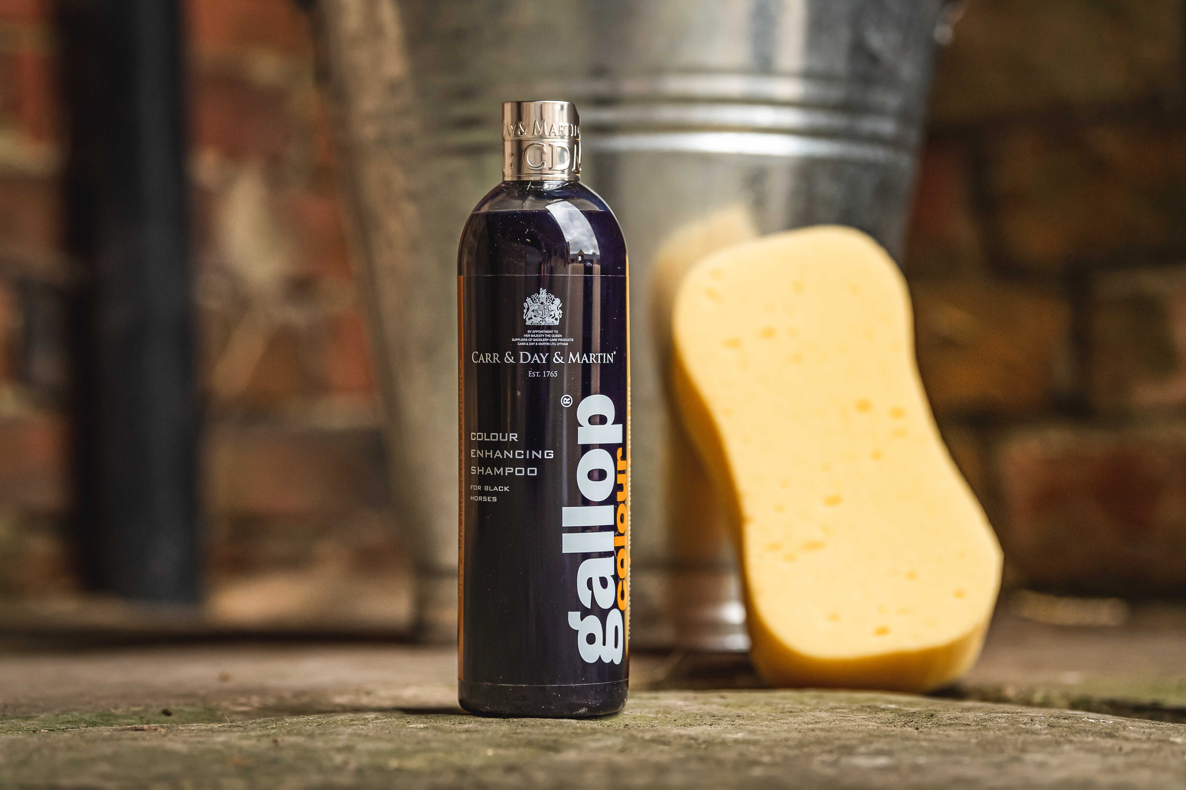 CARR & DAY & MARTIN Shampoo Gallop® Black Horses