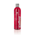 CARR & DAY & MARTIN Shampoo Gallop® Bay Horses