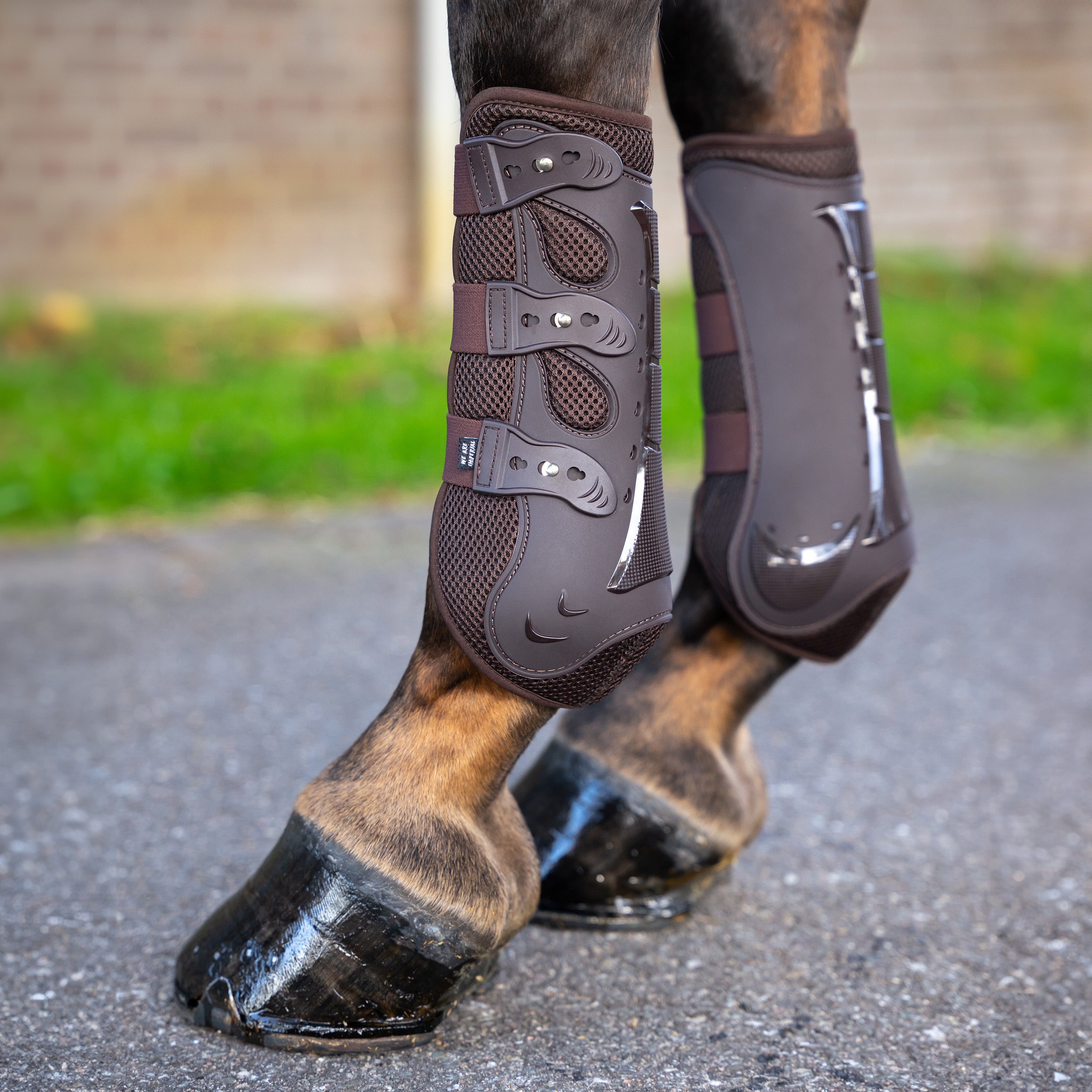 Dressage boots Pro IRH