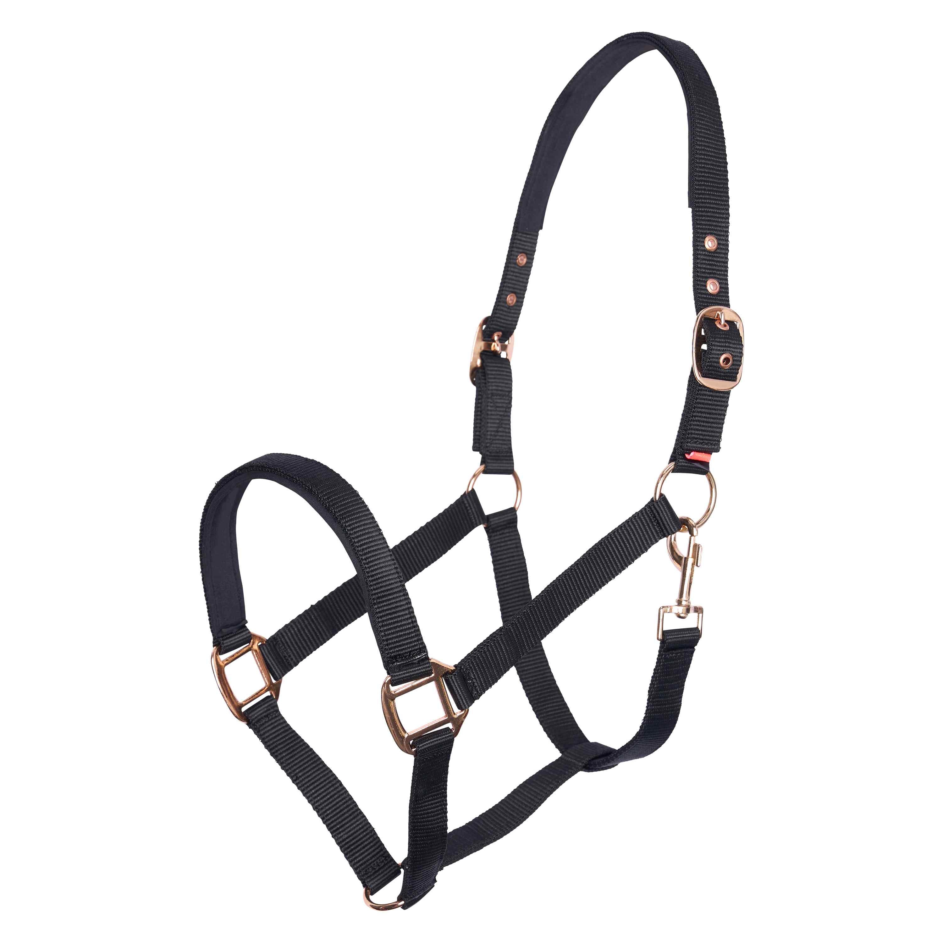 IRH Classic Sport Riimu