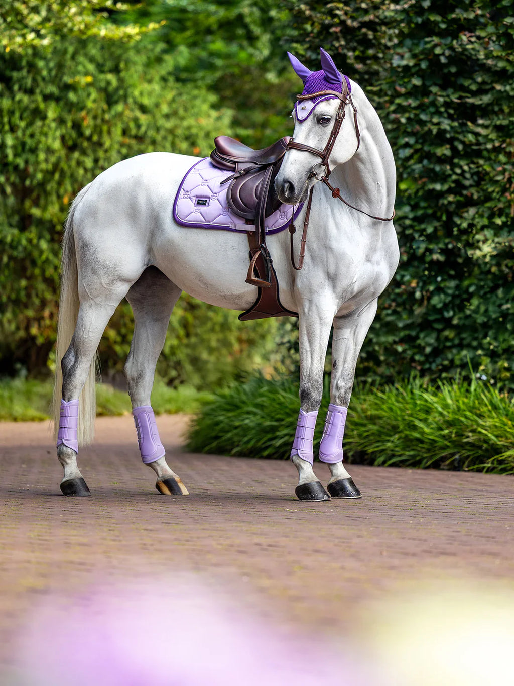 Equestrian Stockholm estehuopa Lavender Pearl