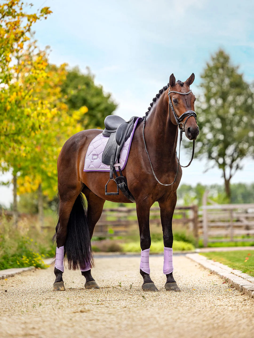Equestrian Stockholm kouluhuopa Lavender Pearl