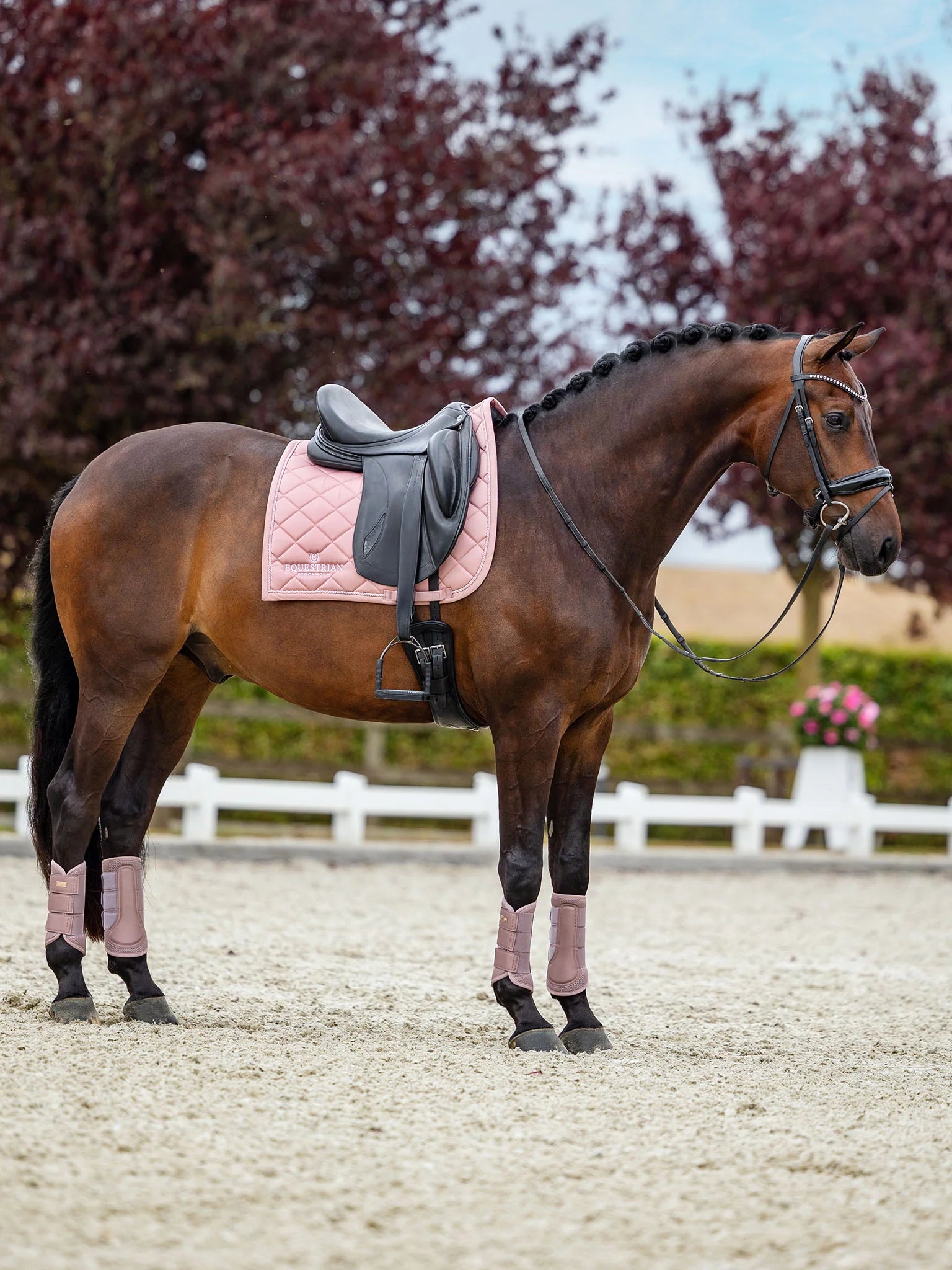 Equestrian Stockholm kouluhuopa Line Pink