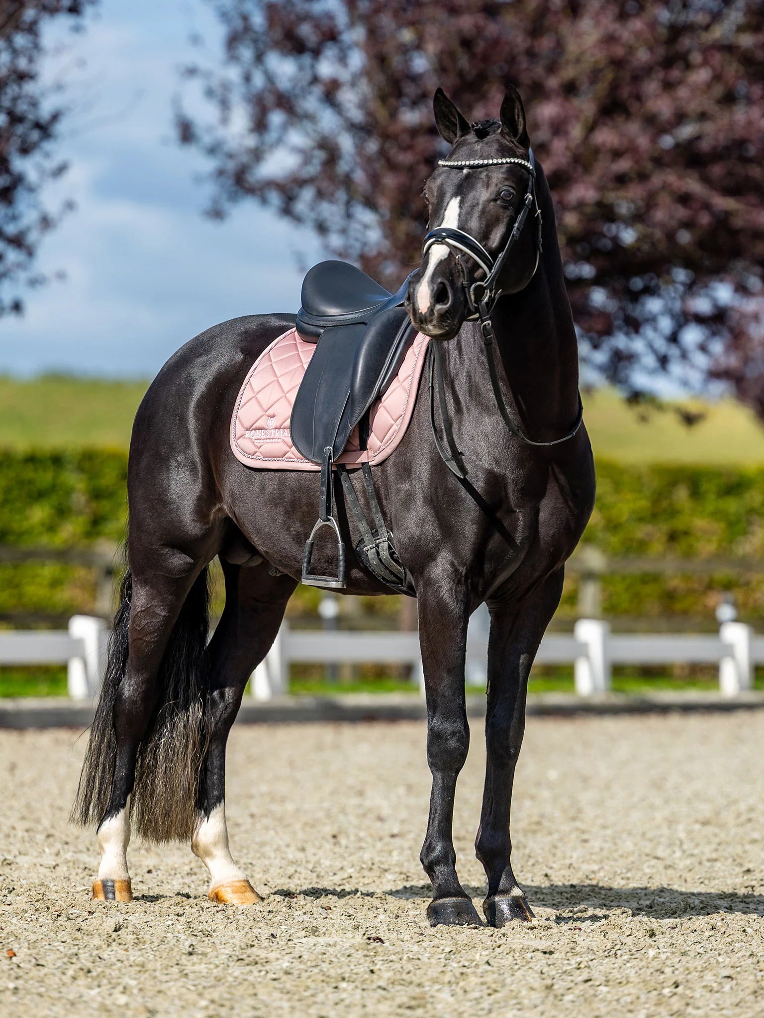 Equestrian Stockholm kouluhuopa Line Pink
