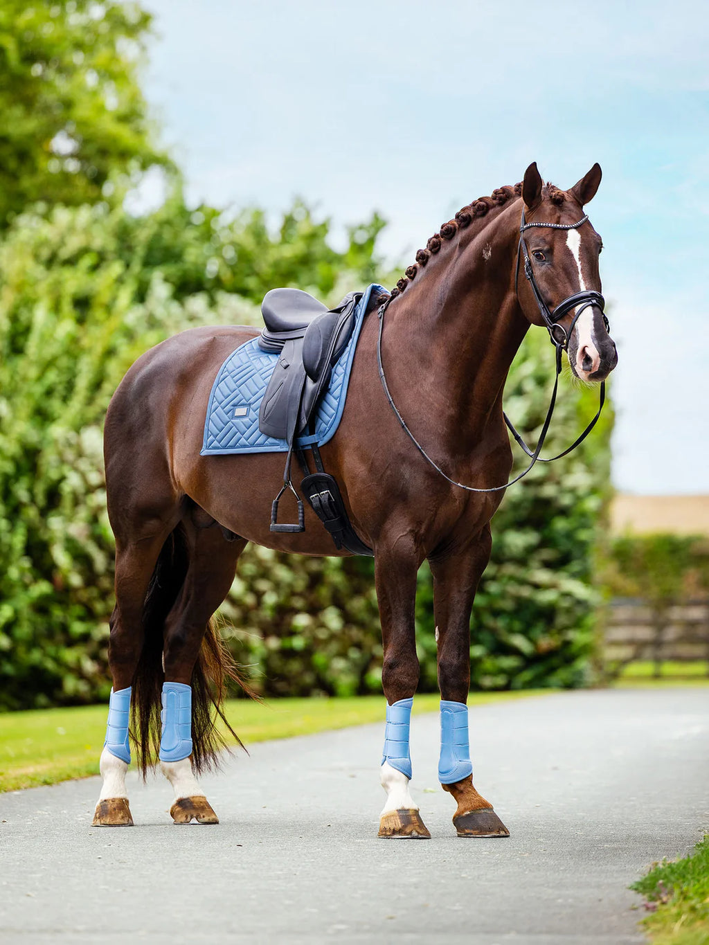 Equestrian Stockholm kouluhuopa Modern Midsummer Blue
