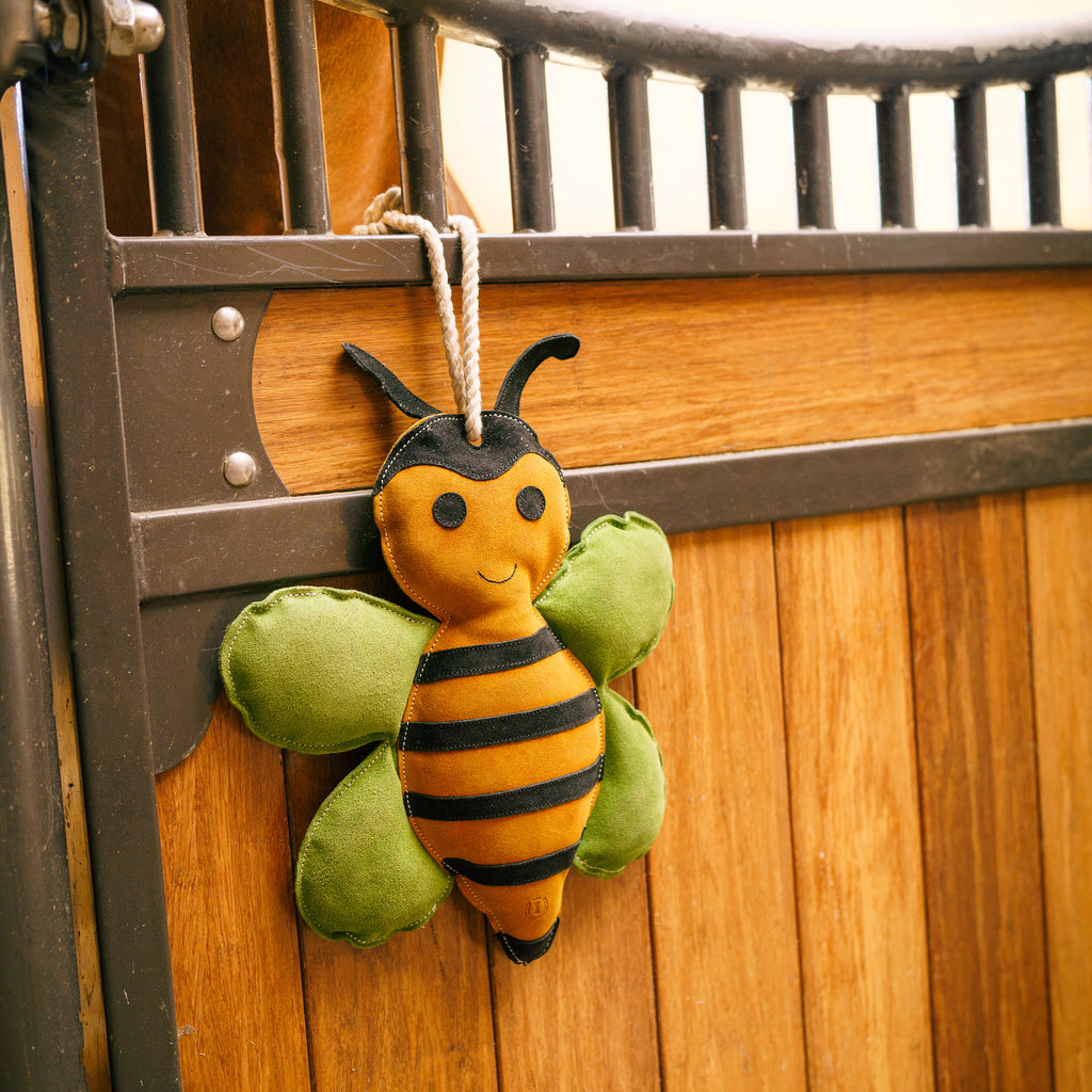 Karsinalelu IRH Stable buddy Bee Happy