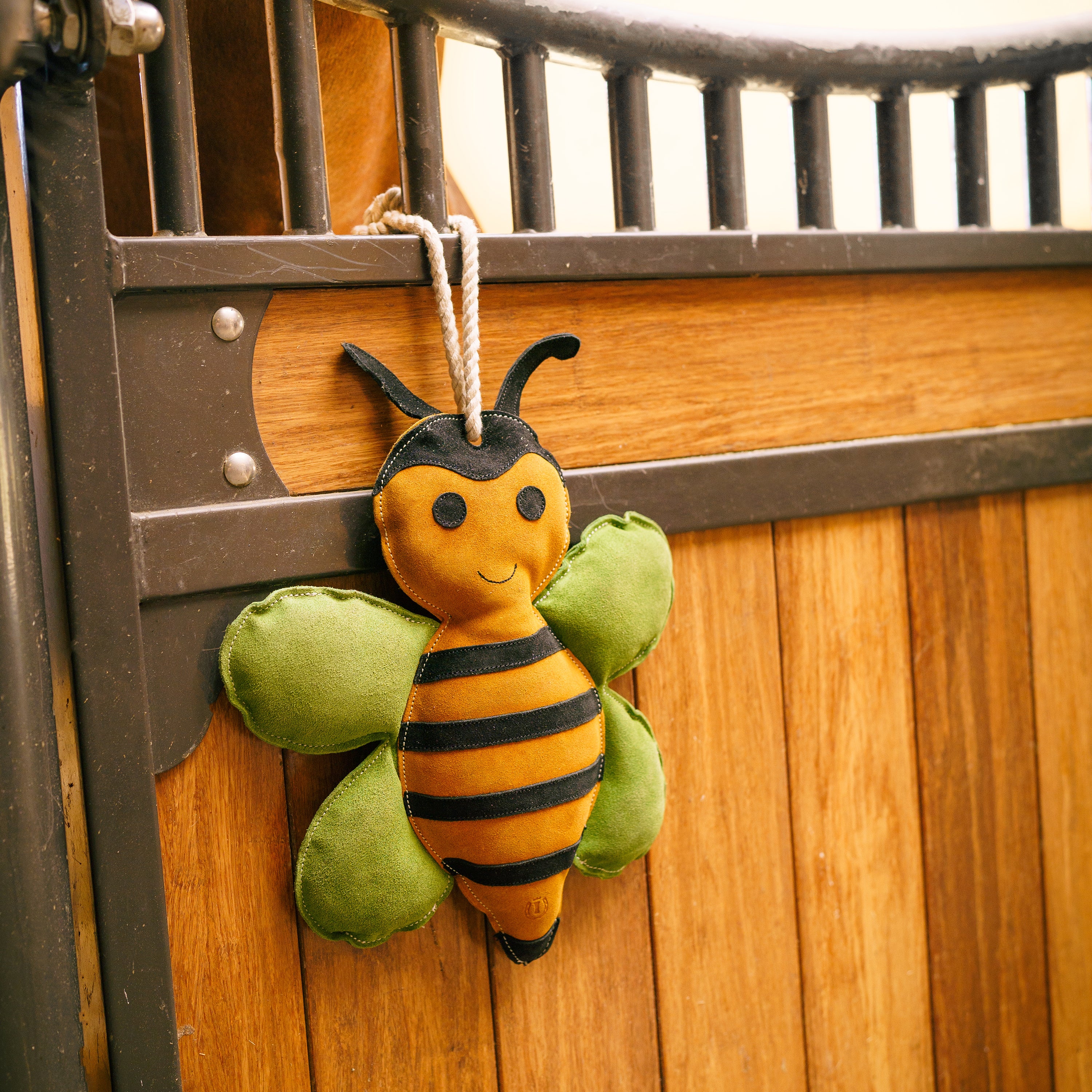 Karsinalelu IRH Stable buddy Bee Happy