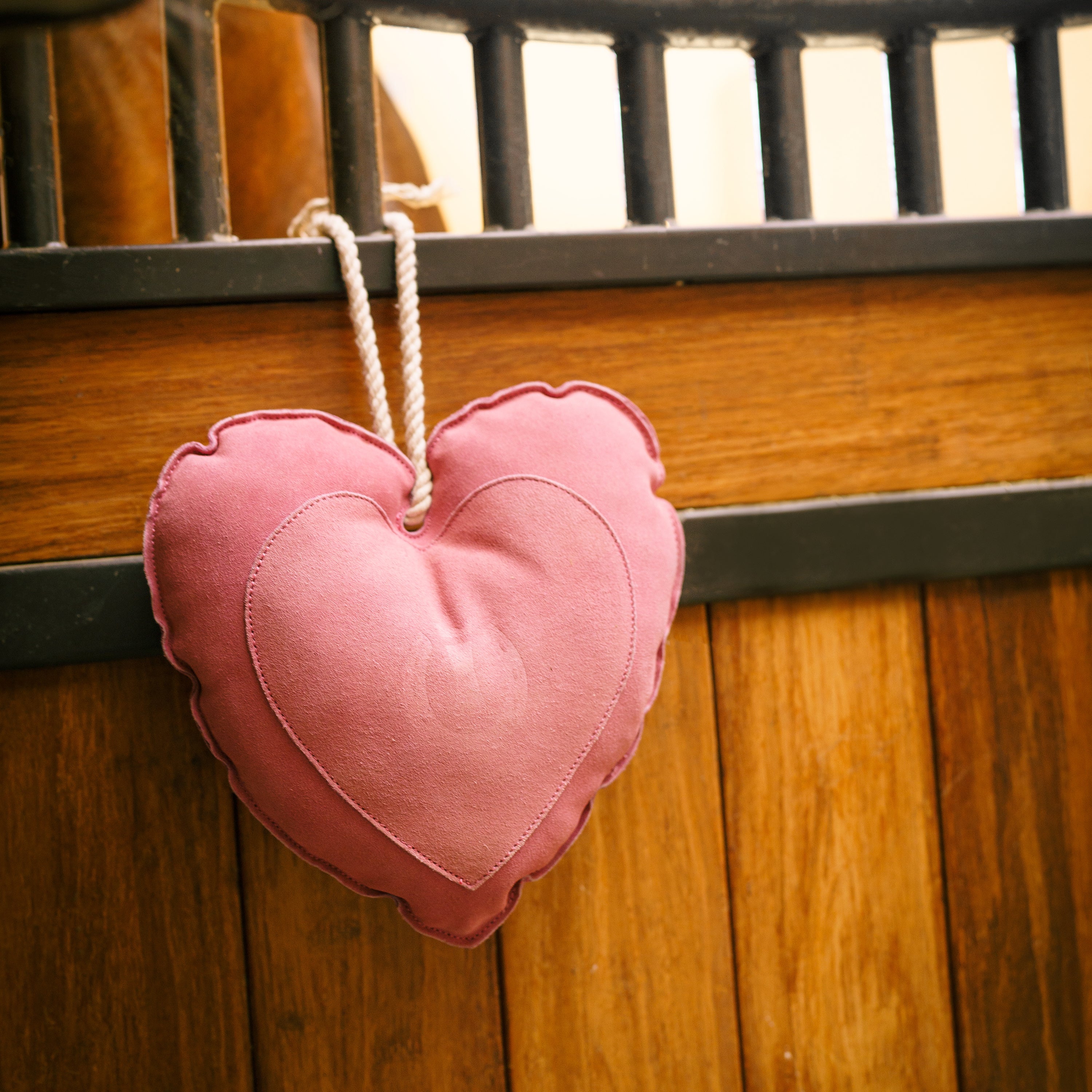 Karsinalelu IRH Stable buddy Heart