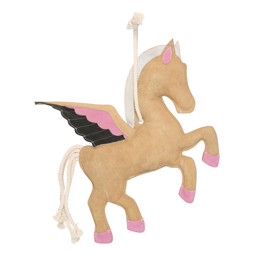 Karsinalelu IRH Stable buddy Pegasus