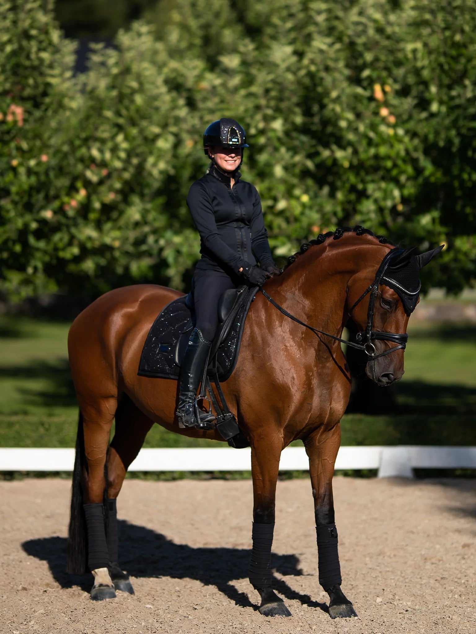 Equestrian Stockholm pintelit All Black Glimmer
